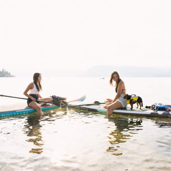 Pet-Friendly Kelowna: Hotels, Trails & Dog Beaches