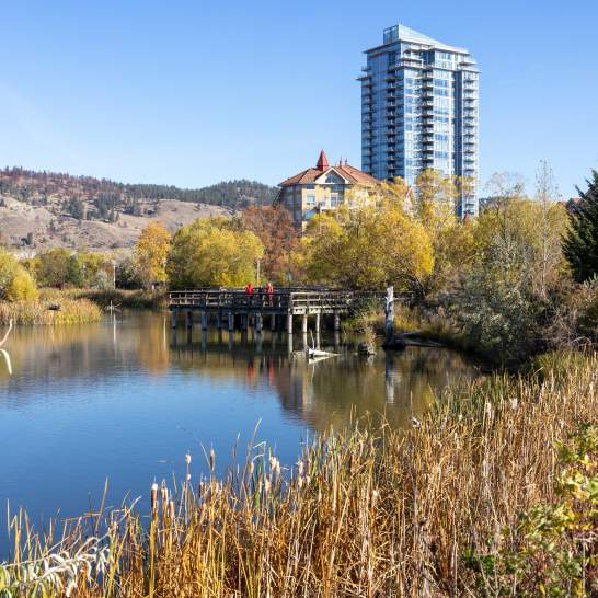Where to Go Wildlife Watching in Kelowna: Top Nature Spots & Tips