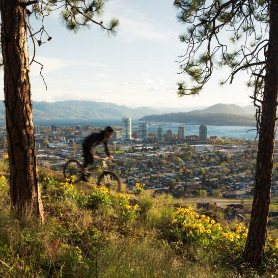 2024 Tourism Kelowna Membership Survey