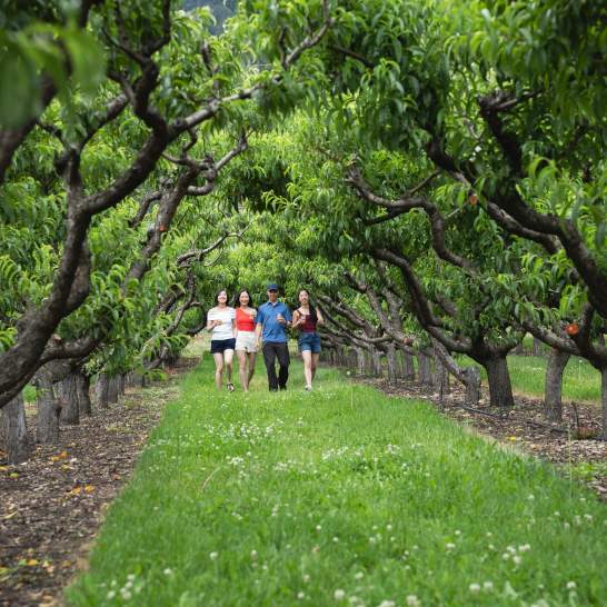 3 Must-Visit Kelowna Farm Markets for a Taste of Summer