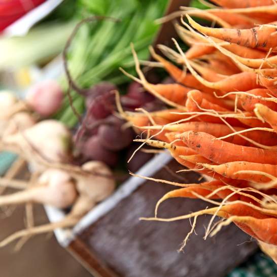 Discovering Kelowna's Sustainable Side: Eats and Sips
