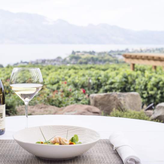 Celebrate BC Wine Month: Must-Visit Kelowna and Okanagan Wineries