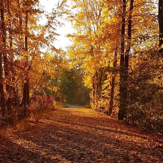 Fall Hiking in Kelowna