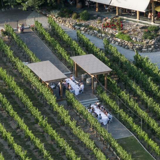 Exploring West Kelowna: A Wine-Inspired Itinerary for Meeting and Event Planners