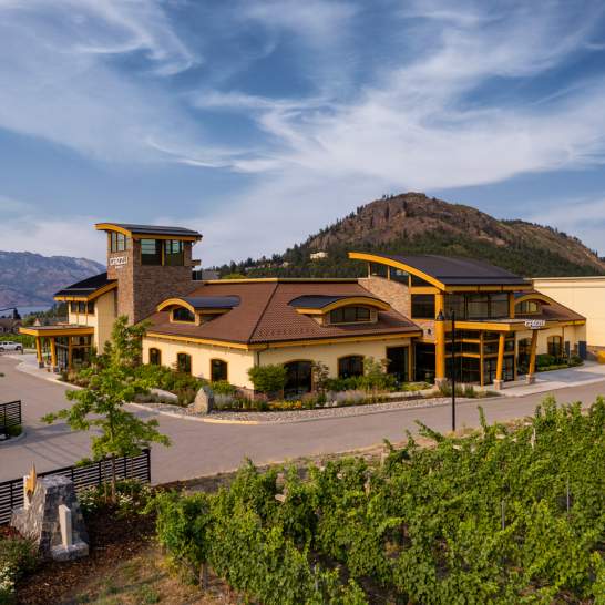 Grizzli Winery: A Scenic, Versatile Venue for Events
