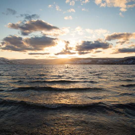 Celebrating 2025: A Year of Connection, Wins, and Forward Motion