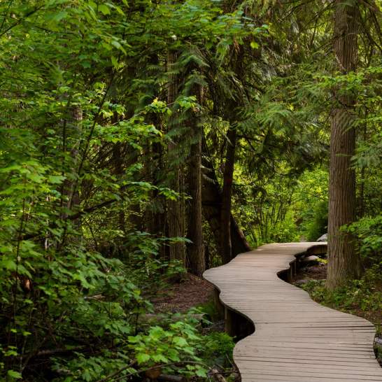 Underappreciated Hiking Trails in Kelowna and the Okanagan Valley