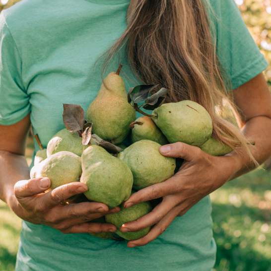 Kelowna's Best Fall Farmers' Markets & Orchard Stops