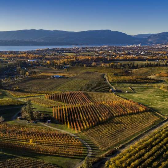 Award Wins and Notable News: Summer/Fall 2025