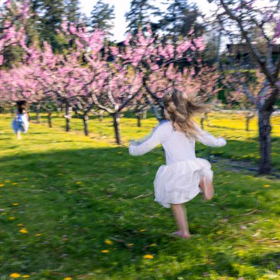 Tourism Kelowna Members: Showcase Your Offers and Promotions