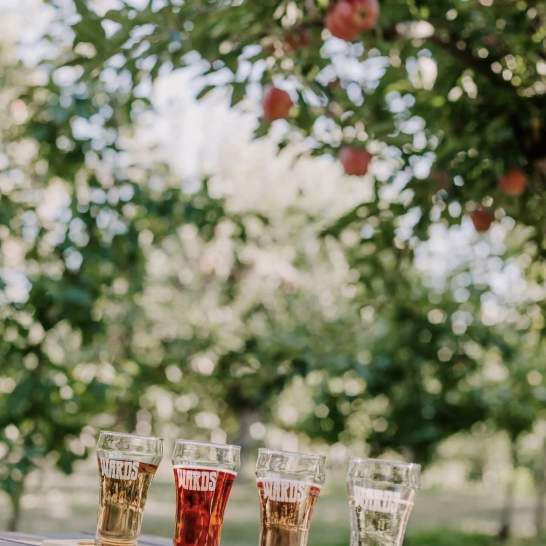 Why September Is the Sweet Spot at The View Winery & Wards Cider