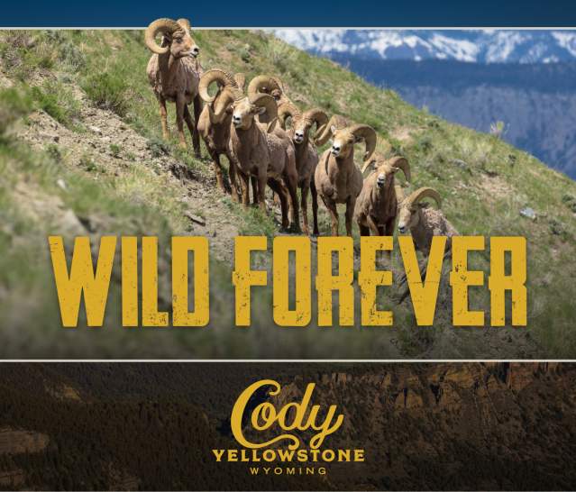 Cody Yellowstone Premium Page Sponsor