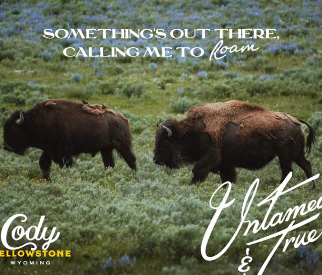 Cody Yellowstone Premium Page Sponsor Ad