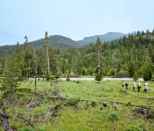 Cody Yellowstone Leads Advertisement