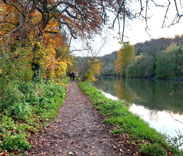 View of the Thames Path along the side of the River Thames