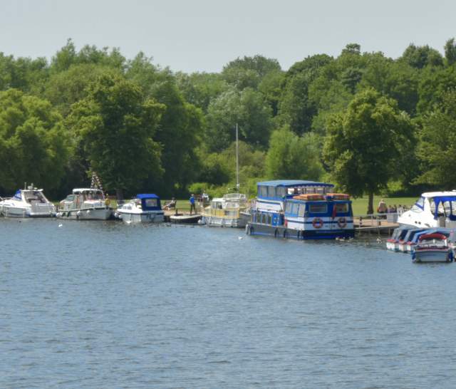 Higginson Park