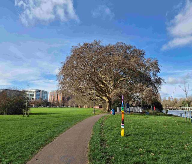 Thames Path, Kings Meadow, Reading
