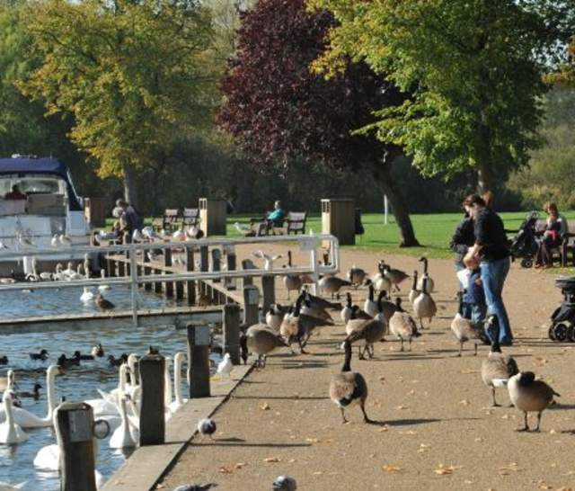 Thames Path Marlow