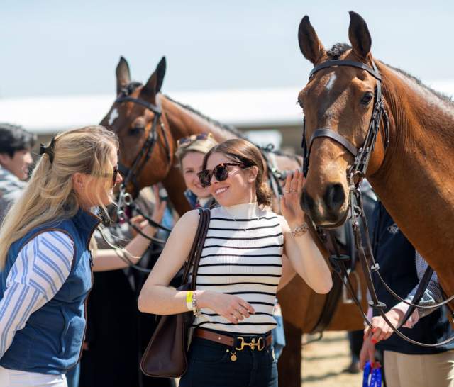 Royal Windsor Horse Show