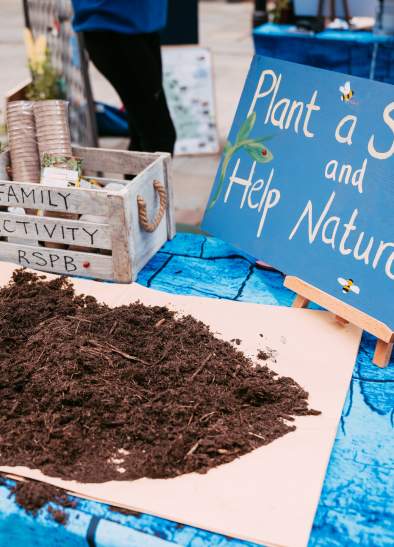 Get Creative at The Manchester Flower Festival - Your Workshop Guide