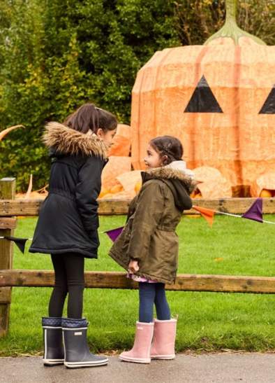 Pumpkin Picking Near Manchester: The Best Pumpkin Patches to Visit This Autumn 2026