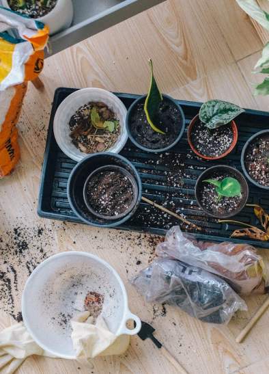 Exploring Volunteering Opportunities and Community Spaces in Greater Manchester