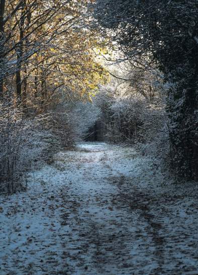 Best Boxing Day Walks in Greater Manchester