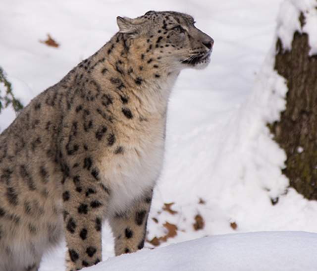 Winter Fun at Roger Williams Park Zoo!