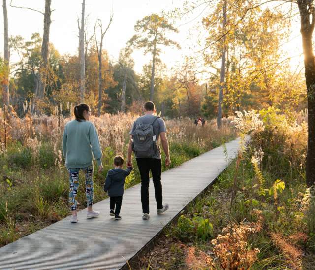 Houston Arboretum & Nature Center