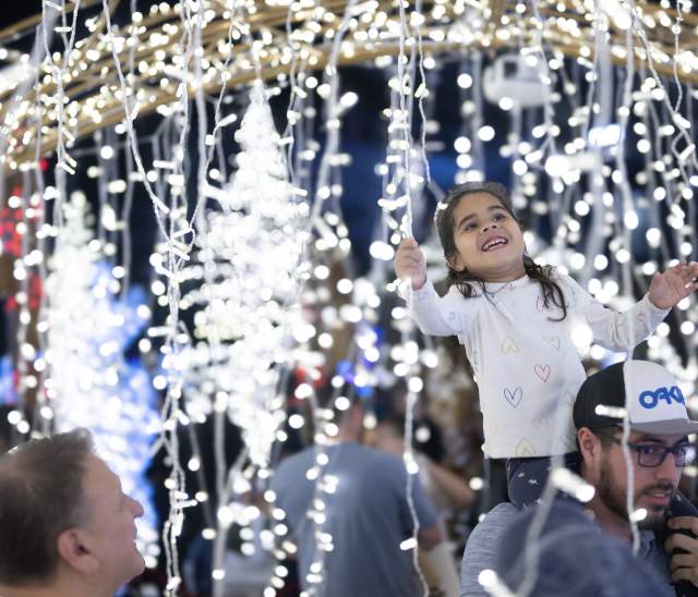 Classic Christmas Alpine Adventure Lights Up Houston