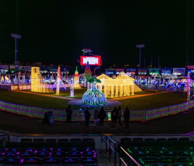 Holiday Lights - Sugar Land