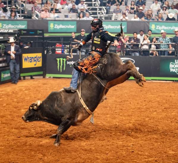 A Guide to the PBR World Finals Championship in Fort Worth