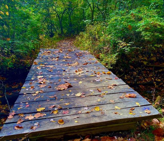 Indian Crossing Trails and Hiking Tecumseh Michigan