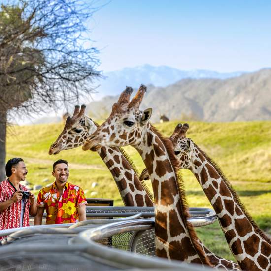 The Living Desert Zoo and Gardens