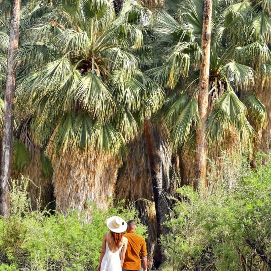 Couple walking on hiking path with palm trees