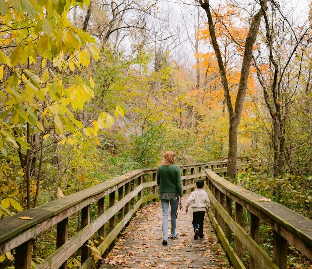 Hayden Run Falls Boardwalk Autumn