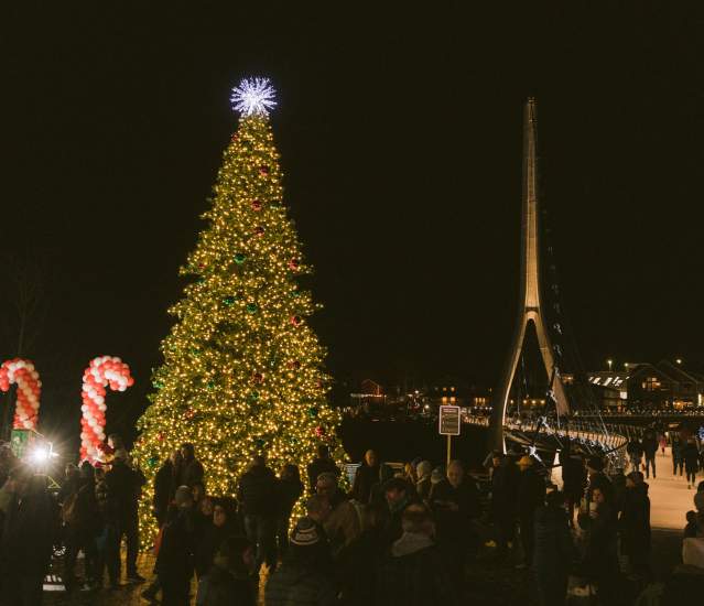 A giant Christmas tree lit up in front of the Dublin Link pedestrian bridge at night in Riverside Crossing Park