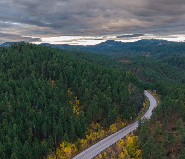 Highway 385 cuts through a dense forest, with lush green pine trees covering hills under a moody, overcast sky, suggesting a tranquil, natural setting.