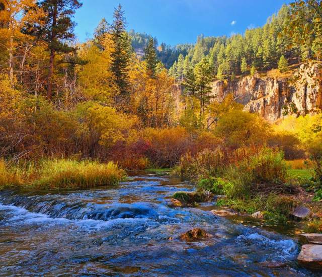 A serene autumn scene with a clear river flowing through a forest of trees in vibrant fall colors. Tall evergreens rise against a bright blue sky.