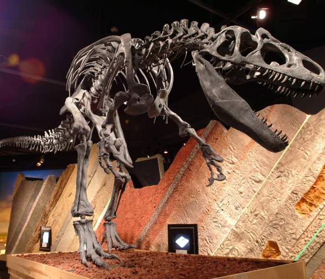 The Journey Museum