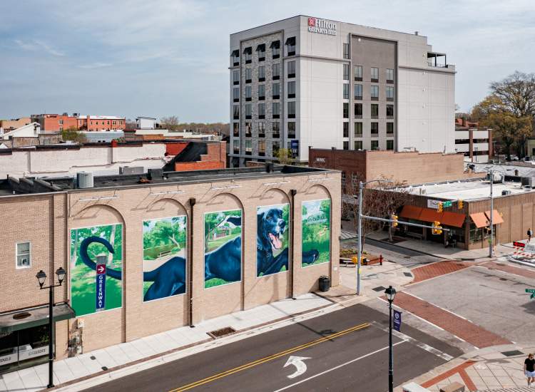 Downtown Greenville
