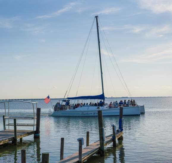 Catameran sailing on the bay