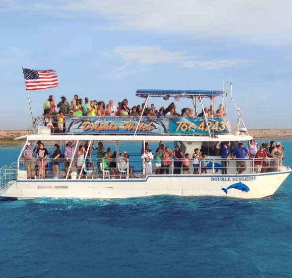 Dolphin-Watch boat