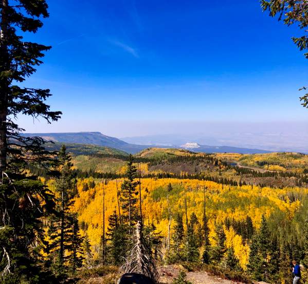Colorful Grand Mesa