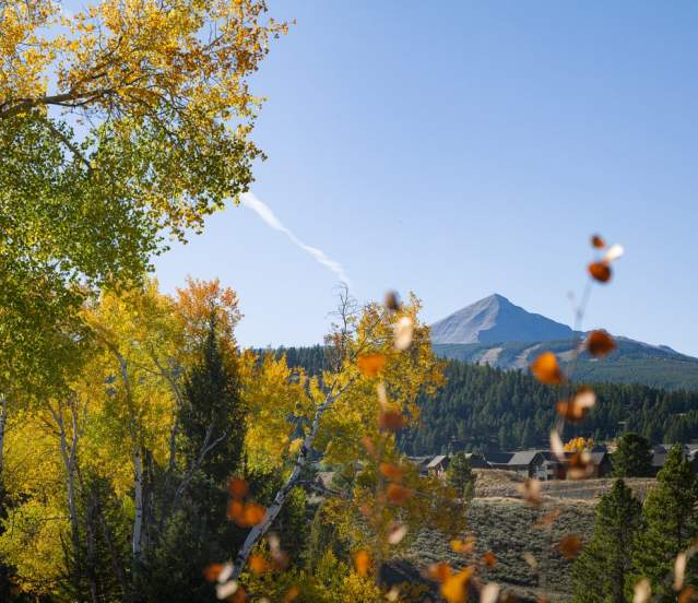 Lone Mountain in Autumn