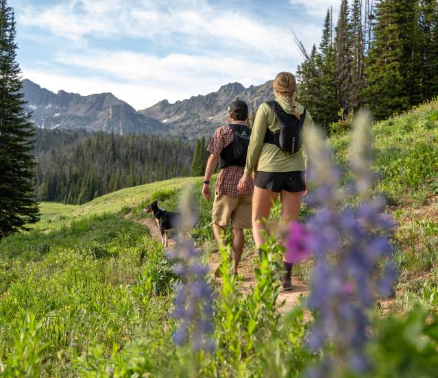 Couple hiking