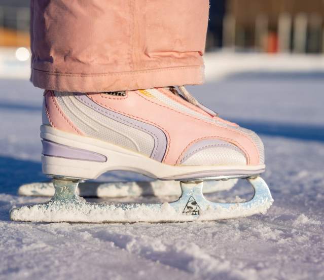 Little Skates on the Ice