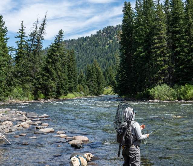 Fly Fishing on the Gallatin
