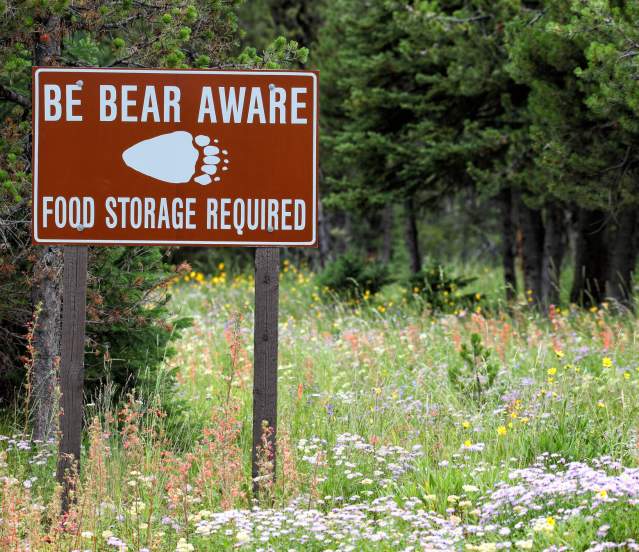 Be Bear Aware