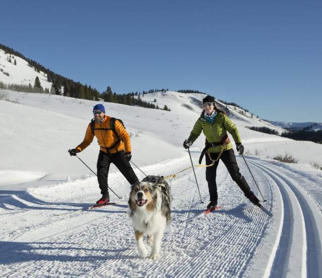 Dog Friendly Trails